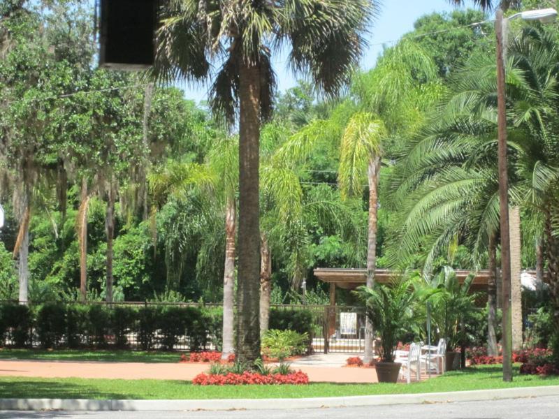 Tropical Marina & Resort On Lake Beresford DeLand Exterior foto